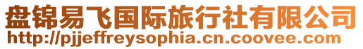 盤(pán)錦易飛國(guó)際旅行社有限公司