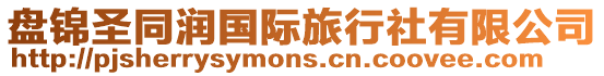 盤錦圣同潤(rùn)國(guó)際旅行社有限公司