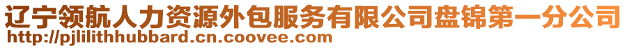 遼寧領航人力資源外包服務有限公司盤錦第一分公司
