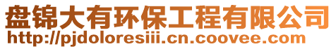 盤(pán)錦大有環(huán)保工程有限公司