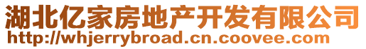 湖北億家房地產開發有限公司