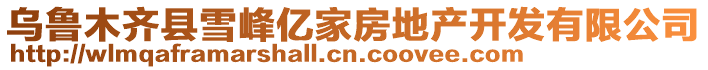 烏魯木齊縣雪峰億家房地產開發有限公司