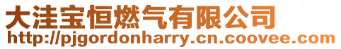 大洼寶恒燃氣有限公司