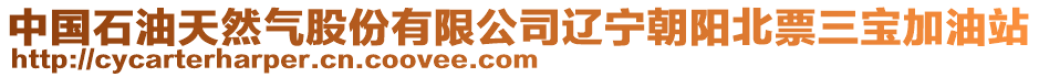 中國石油天然氣股份有限公司遼寧朝陽北票三寶加油站