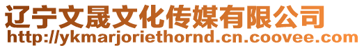 遼寧文晟文化傳媒有限公司