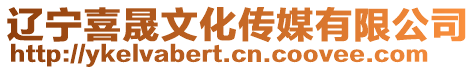 遼寧喜晟文化傳媒有限公司