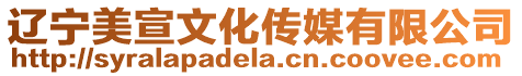遼寧美宣文化傳媒有限公司