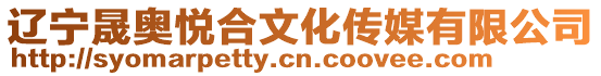 遼寧晟奧悅合文化傳媒有限公司