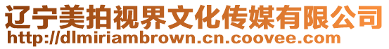 遼寧美拍視界文化傳媒有限公司