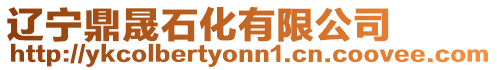 遼寧鼎晟石化有限公司