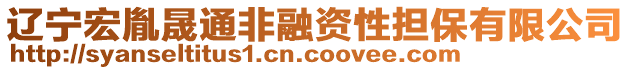 遼寧宏胤晟通非融資性擔保有限公司