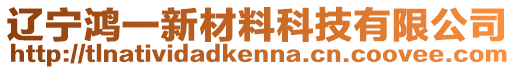 遼寧鴻一新材料科技有限公司