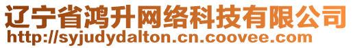 遼寧省鴻升網(wǎng)絡(luò)科技有限公司