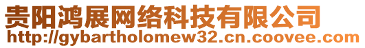 贵阳鸿展网络科技有限公司