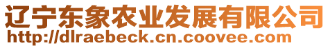 遼寧東象農(nóng)業(yè)發(fā)展有限公司