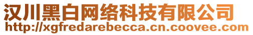 漢川黑白網(wǎng)絡(luò)科技有限公司