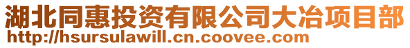 湖北同惠投资有限公司大冶项目部