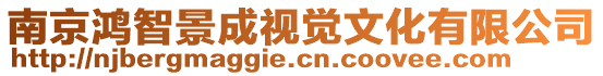 南京鴻智景成視覺文化有限公司