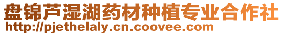 盤(pán)錦蘆濕湖藥材種植專(zhuān)業(yè)合作社