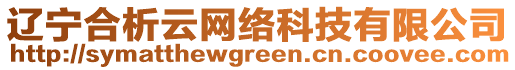 遼寧合析云網(wǎng)絡(luò)科技有限公司