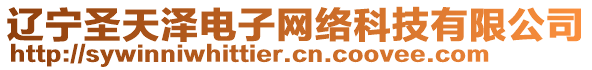 遼寧圣天澤電子網(wǎng)絡(luò)科技有限公司