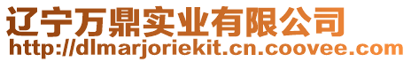 遼寧萬鼎實業(yè)有限公司