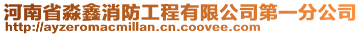 河南省淼鑫消防工程有限公司第一分公司