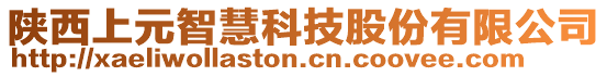 陜西上元智慧科技股份有限公司