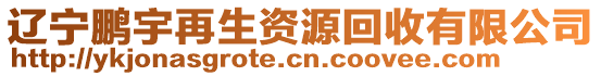 遼寧鵬宇再生資源回收有限公司