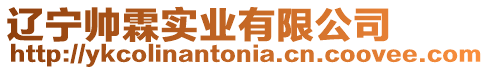 遼寧帥霖實業(yè)有限公司