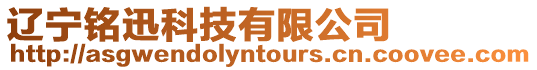 遼寧銘迅科技有限公司