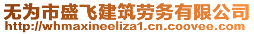 無(wú)為市盛飛建筑勞務(wù)有限公司