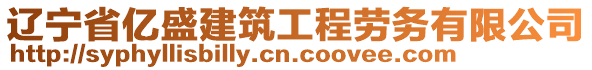 遼寧省億盛建筑工程勞務(wù)有限公司