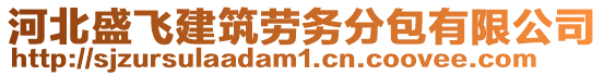 河北盛飛建筑勞務分包有限公司