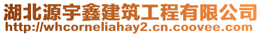 湖北源宇鑫建筑工程有限公司