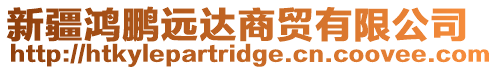 新疆鴻鵬遠達商貿有限公司