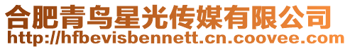 合肥青鳥星光傳媒有限公司