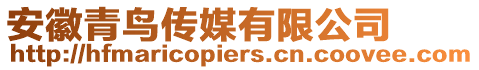 安徽青鳥(niǎo)傳媒有限公司