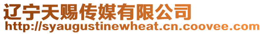 遼寧天賜傳媒有限公司