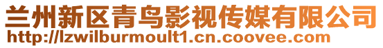蘭州新區青鳥影視傳媒有限公司