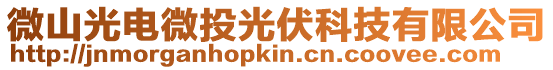微山光電微投光伏科技有限公司