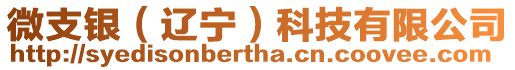 微支銀(遼寧)科技有限公司