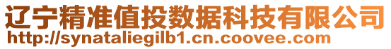 遼寧精準(zhǔn)值投數(shù)據(jù)科技有限公司