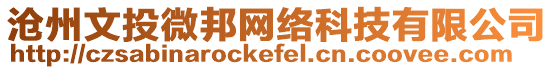 滄州文投微邦網絡科技有限公司