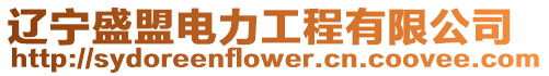 遼寧盛盟電力工程有限公司