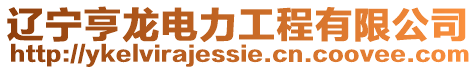 遼寧亨龍電力工程有限公司