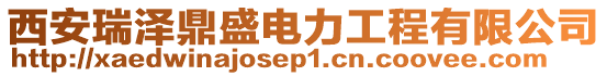 西安瑞澤鼎盛電力工程有限公司