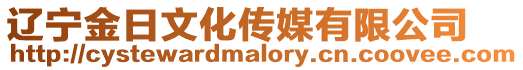遼寧金日文化傳媒有限公司