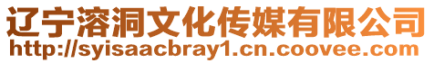 遼寧溶洞文化傳媒有限公司