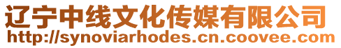 遼寧中線文化傳媒有限公司